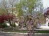 Photo Number 5